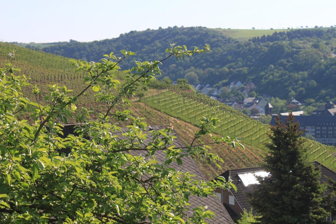 Ferienwohnung Klosterberg Lehmen Bagian luar foto